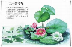 處暑之后注意祛暑，除燥潤(rùn)津的藥膳推薦給家人～