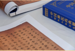 臨滄中醫(yī)夜市|交流借鑒促發(fā)展，鎮(zhèn)康專場啟新篇